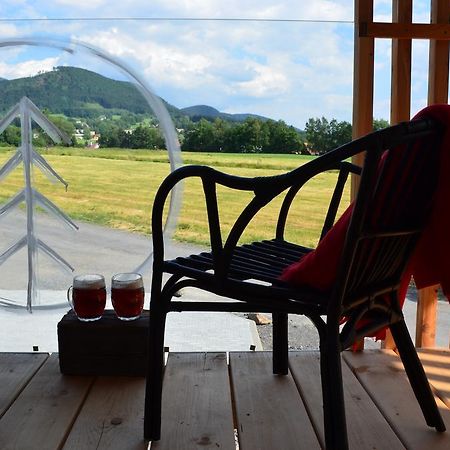 Ydykseb Hotel Frýdlant nad Ostravicí Bagian luar foto
